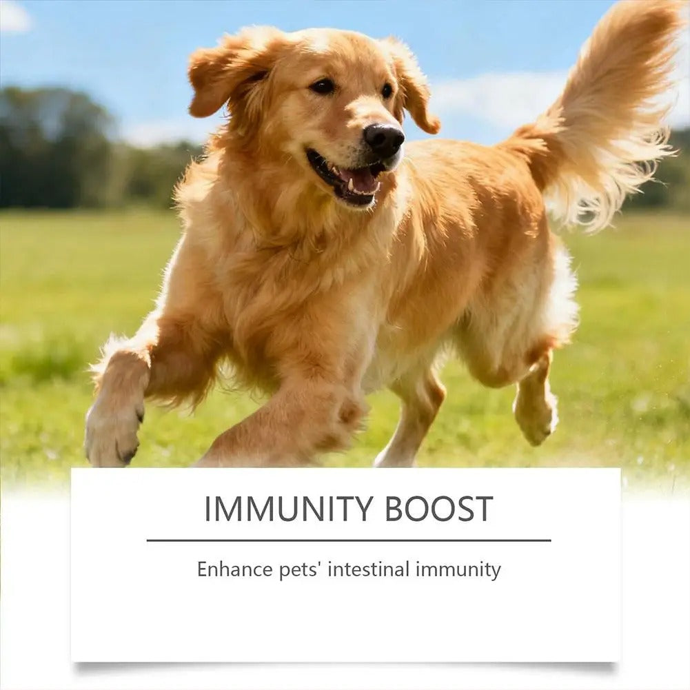 Turkey Tail+ Dog Supplement – Probiotics & Immune Support Formula